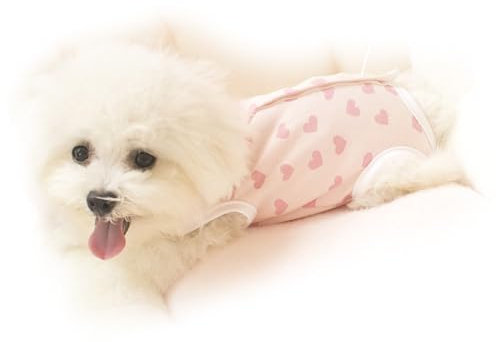 Teacup Dog Clothes, Puppy Cold Prevention Clothes, Stylish and Breathable for Spring and Autumn (Little Red Heart XS)