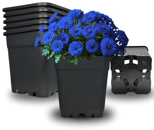 Cultonix Viereckiger Blumentopf 11L | Pflanztopf eckig Kunststoff, Anzuchttöpfe für Balkon & Terrasse, Blumentöpfe Indoor Outdoor, Einsatz für Pflanzkübel groß außen
