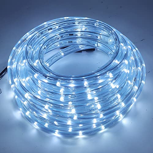 Wisada 8M LED Lichtschlauch Außen, 36 LEDs/m 220V Indoor Kaltweiß Schlauch Leuchtstoffröhre, 8-Funktions-Modus Outdoor Lichter Wasserdicht für Weihnachten Partydeko