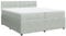 vidaXL Boxspringbett, Doppelbett mit Matratze Matratzenauflage, Bettgestell mit Lattenrost Kopfteil, Polsterbett Bett für Schlafzimmer, Hellgrau 200x200cm Samt