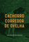 Cachorro Corredor de Ovelha (Portuguese Edition)