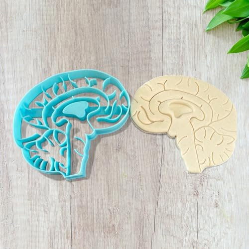 Ausstecher für Kekse und Kekse, menschliches Gehirn ELACE