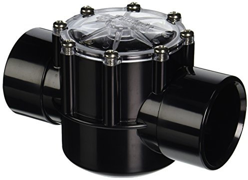 Pentair 263042 Rückschlagventil CPVC für Pool Pumpen, 2 Port gerade