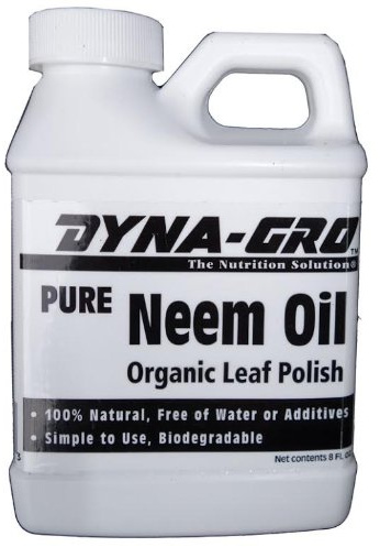 Brussel's Bonsai - Neem Oil Plant Spray, 8 Oz