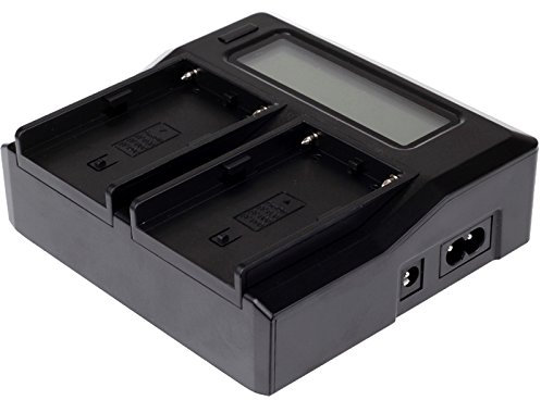 High-Tech Place Chargeur de Batterie numérique à écran LCD à Double Canal avec Port USB pour Batterie Sony BP-U30 / U60 / U90, Compatible avec Sony EX260 / EX280 / FS7