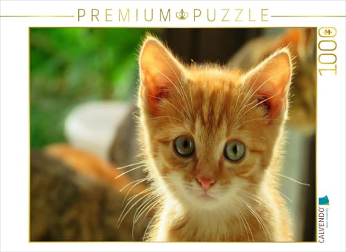 CALVENDO Puzzle Roter Kater | 1000 Teile Lege-Größe 64 x 48 cm Foto-Puzzle für glückliche Stunden