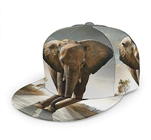 Oaieltj Unisex Baseball Cap Erwachsene Teens Adjustable Snapback Flat Brim Baseball Cap Cool Hip Hop Hat, elefant, One size