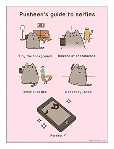Pusheen Memorabilia, Mehrfarbig, 30 x 40cm