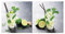 2er Set Glasbild 30x30cm Wandbild Glas Cocktail Mojito Limetten Küche Deko Wanddeko Cocktailbar Küchendeko Küchenbild