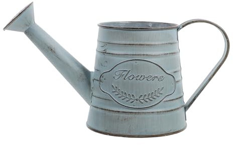 Toddmomy Regadera rústica de metal, regadera de estaño, jarrón decorativo de metal galvanizado, maceta de flores de granja, maceta de hierro vintage para plantas de casa al aire libre