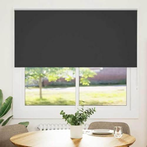 vidaXL Verdunkelungsrollo Schwarz 145x150 cm Stoffbreite 141,6 cm, Rollo, Klemmfix, Thermorollo, Verdunklungsrollo, Klemmrollo, Fensterrollo