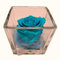 Genérico Rosa eterna Azul Turquesa. Cubo de Cristal. Comprar Flores preservadas. Rosas Azules. Regalar Flores.