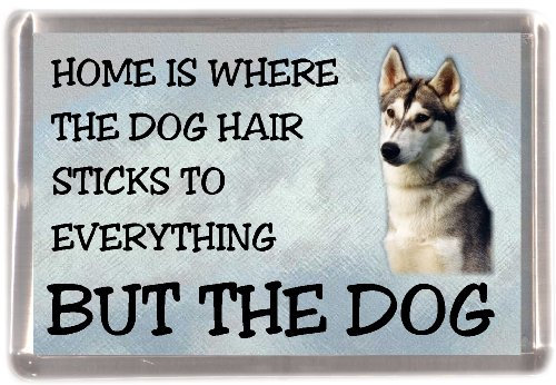Siberian Husky Fridge Magnet Home is Where The Dog Hair Sticks to Everything BUT The Dog