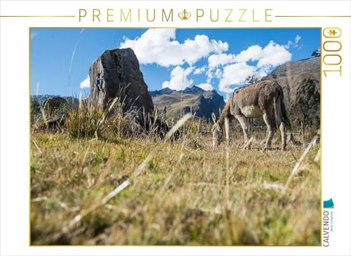 CALVENDO Puzzle Bouldern in der Pampa | 1000 Teile Lege-Größe 64 x 48 cm Foto-Puzzle für glückliche Stunden
