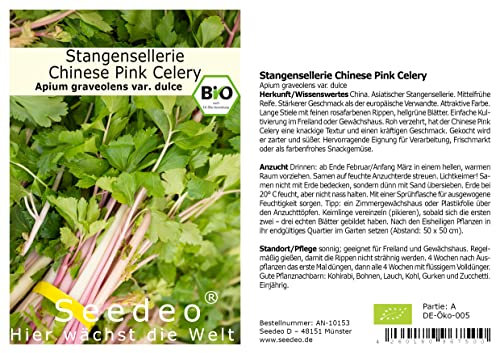 Seedeo® Stangensellerie Chinese Pink Celery (Apium graveolens var. dulce) ca. 100 Samen BIO