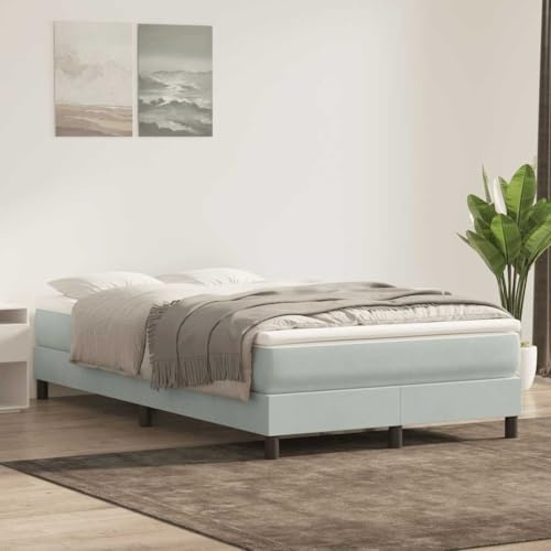 Teenpull Boxspringbett ohne Matratze Hellgrau 120x220 cm Samt, 223x123x25 cm, stabiles Polsterbett mit Kopfteil, Bettgestell Rahmen für erholsamen Schlaf, Schlafzimmer Möbelstück