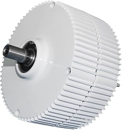 WESLNN 1000 W 12 V, 24 V, 48 V, 750 U/min, Wechselstrom, Gleichstrom, Magnetischer Dynamo, Wasserturbine, Hydro-Generator, Energie(Without The Base,24V)