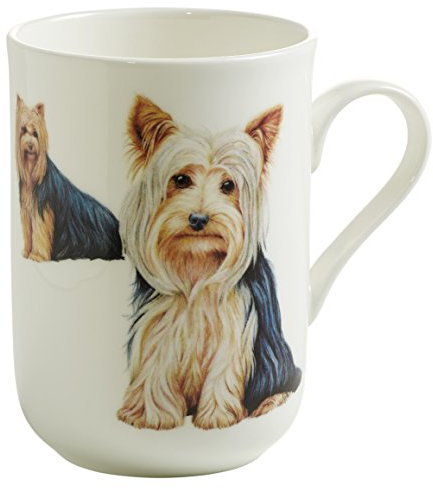Maxwell PB0706 Multicolore 1pezzo(i) tazza
