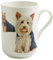Maxwell PB0706 Multicolore 1pezzo(i) tazza
