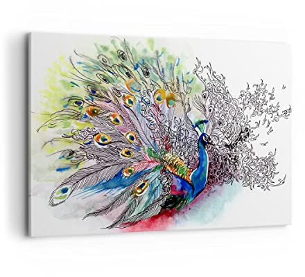ARTTOR Wandbilder Dekoration Wohnzimmer Pfau Feder Farbe Bilder auf Leinwand 120x80cm Leinwandbild Schlafzimmer Küche Deko Wand Kunstdruck Art Groß XXL Wanddeko Bild Wall Decor Canvas AA120x80-3556