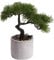 Nova-Nature künstlicher Cedern Bonsai im Zementtopf (ca. 25 x 25 cm)