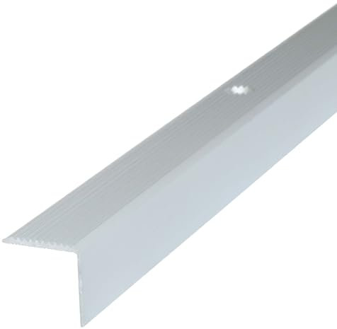 Dalsys Treppenkantenprofil Aluminium 100cm x 20mm x 20mm Bodenprofil für Treppenwinkel zum Schrauben Silber