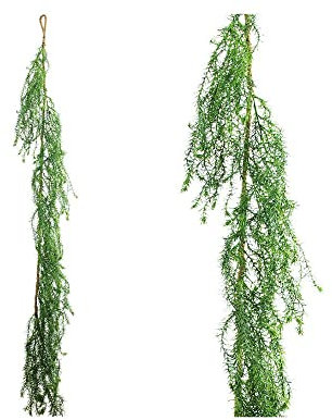FloristryWarehouse Künstlicher Spargelfarn-Girlande mit Seil, 160 cm