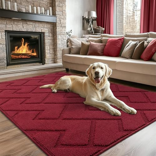 Biscpro Fußmatte Innen Außen Waschbar eingangsteppich innen Schmutzfangmatte rutschfest,Türmatte Innen Teppich für Eingang, Patio, Flur, Garten, Innen und Außen (Rot, 119 * 180cm)