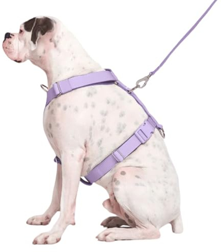 Spark Paws No-Pull Hundegeschirr – Entwickelt für Sicherheit und Kontrolle, ideal für große, kräftige Rassen – Pitbulls, Boxers - Purple, M