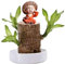 Brasilien Pflanzen Indoor Glücksholz Pflanze Set Kleine Mini-Pflanze Desktop-Pflanzen Brasilianische Holzpflanze Mit Mönchen Brazilian Wood Pflanzenstumpf Holz Hydrokulturpflanze (0B-B, One Size)