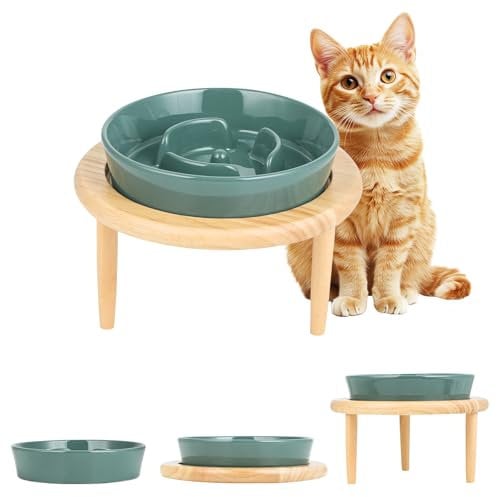 Slow Feeder Cat Bowl Ceramic, Raised Cat Bowl with Wooden Stand, Elevated Cats Bowls to Slow Down Eating for Dry and Wet Food, Healthy Eating Pet Food Bowl for Cat, Puppy (Dark Green)