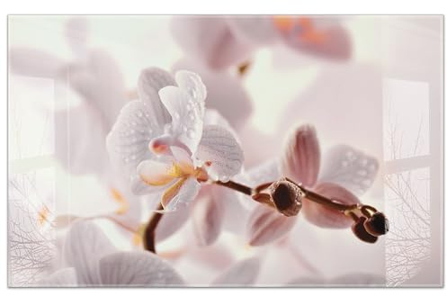 timalo Küchenbild aus Acrylglas modernes Wandbild Glasbild Deko Küche XXL Bild wie Glas | 80x50cm Orchidee, Blüten Makro, zarte Pastellfarben, elegante Blume, Naturmotiv, Wellness