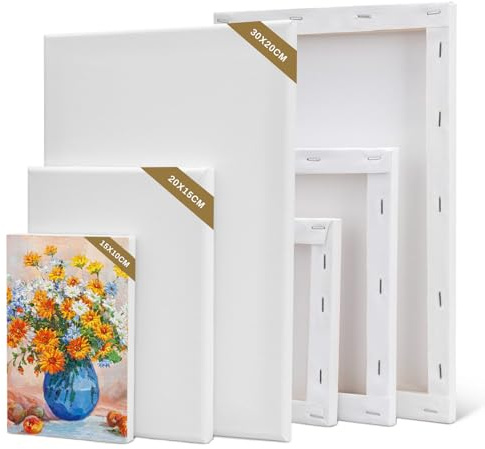 AUNHOKE Canvas Boards for Painting, 6Pcs Art Blank Canvases Panels 3 Sizes | Small Canvas for Painting 30x20, 20x15, 15x15 cm for Acrylic, Oil Paint, Watercolour, Wet Art Media Artwork