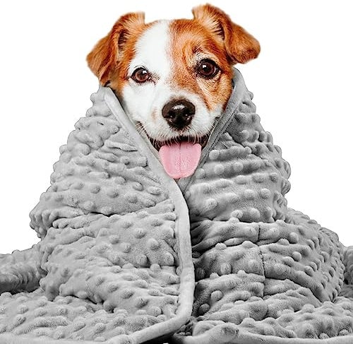 LaSyL Gewichtsdecke für Haustiere, Donnerdecke für Hunde, Angstzustände, hochwertig, weich, Minky, Entspannung, beruhigend, Anti-Angst, verwendet im Auto, Bett, Couch, Dunkelgrau, waschbar, Größe M