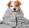 LaSyL Gewichtsdecke für Haustiere, Donnerdecke für Hunde, Angstzustände, hochwertig, weich, Minky, Entspannung, beruhigend, Anti-Angst, verwendet im Auto, Bett, Couch, Dunkelgrau, waschbar, Größe M,