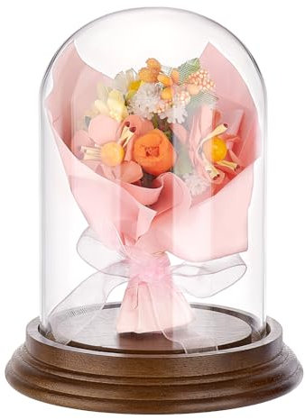 PH PandaHall 10.7x14cm Cloche en Verre avec Base en Bois, Dôme Décoratif Transparent pour Décoration de Table, Plantes, Boule à Neige, Fleur DIY, Brun Foncé