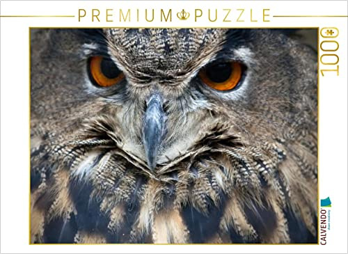 CALVENDO Puzzle Eule | 1000 Teile Lege-Größe 64 x 48 cm Foto-Puzzle für glückliche Stunden