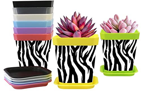 Paquete de 8 plantas de plántulas de plástico, maceta de barbero, herramientas de diseño de rayas de cebra negra y blanca, maceta de flores con bandeja, 8 colores