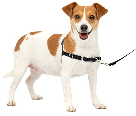 PetSafe Easy Walk-Geschirr, Anti-Zieh-Hundegeschirr, Verringert Würgen und Husten, Mit 1,8 M Leine, Größe S, Schwarz