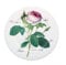 Roy Kirkham Redoute Rose Teller 27cm