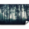 murando - Vlies Fototapete Wald 300x210 cm - Foto Tapete Schlafzimmer Wohnzimmer Moderne Vliestapete XXL Wandtapete Motivtapeten Bildtapete 3d Effekt Wand Dekoration - Wald Natur Nebel c-B-0223-a-a