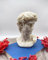 David Kerze XXL 14,5 cm | Handmade in Germany | Römische Büste Figur Adam Gott