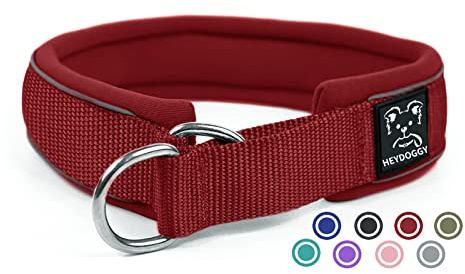 Weich Neopren Gepolstert Hundehalsband (4cm Breite) Reflektierend Hund Halsband mit Robust Nylon & Zugstopp, Bequem Zughalsband Dressurhalsband Kleine Mittlere Große Hunde Anti-Zug Walken S Wein