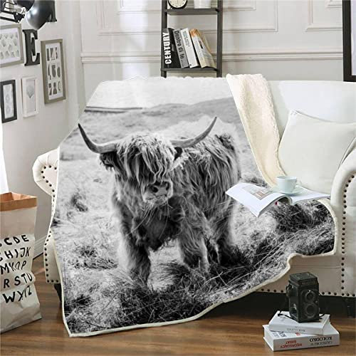 Kühe Kuscheldecke Fleecedecke 3D Schottisches Hochlandrind Tier 3D Flauschige Warmer Winter Decke 150x200cm Sherpa Wohndecke Sofadecke für Erwachsene Weihnachten Geschenk Blanket