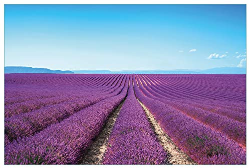 Wallario Küchenrückwand selbstklebend 90 x 60 cm, Motiv: Lavendelfeld unter blauem Himmel | Spritzschutz abwischbar & pflegeleicht