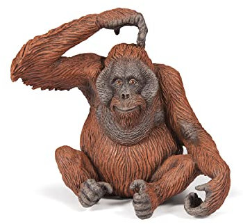 Papo -Handbemalt - Figuren -Wildtiere Der Welt-Orang-Utan-50120-Sammelbar-Für Kinder - Geeignet für Jungen und Mädchen - Ab 3 Jahren