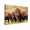 Premium Textil-Leinwand 45 x 30 cm Quer-Format Bisons in Manitoba | Wandbild, HD-Bild auf Keilrahmen, Fertigbild auf hochwertigem Vlies, Leinwanddruck von Marianne Drews