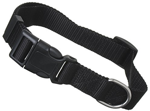 Scarlet pet | Hundehalsband »Universal« mit Klickverschluss und Längenverstellung; Diverse Farben und Größen; Robustes Nylon (S: 24-34 x 1,5 cm/Schwarz)