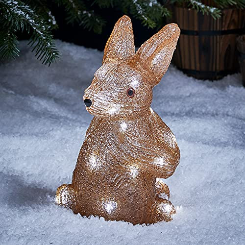 Lights4fun 20er LED Acryl Hase Weihnachtsfigur Weihnachtsbeleuchtung Außen batteriebetrieben mit Timer