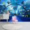 XPINGO 3D Tapete Wandbilder Unterwasserwelt Delphin Tapete Fotomuster Tapete Aufkleber Home Room Wall Poster Dekoration Für Wohnzimmer Büro Schlafzimmer Esszimmer Wandkunst 140 x 70 cm